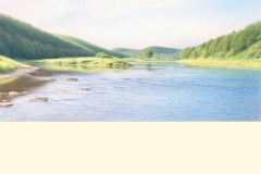 Summer River